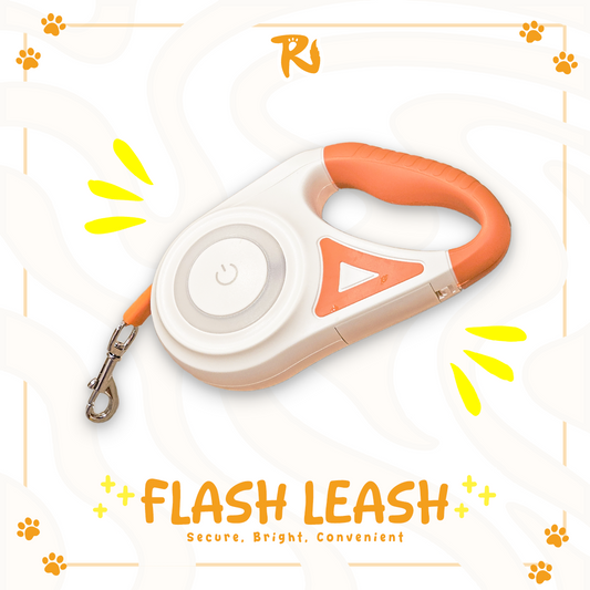 🔥Flash Leash